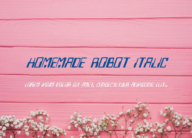 Homemade Robot Italic example